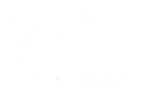 Logo yne-life